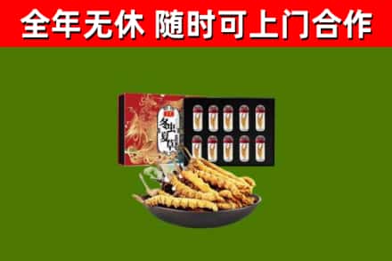 潢川烟酒回收冬虫夏草礼盒.jpg